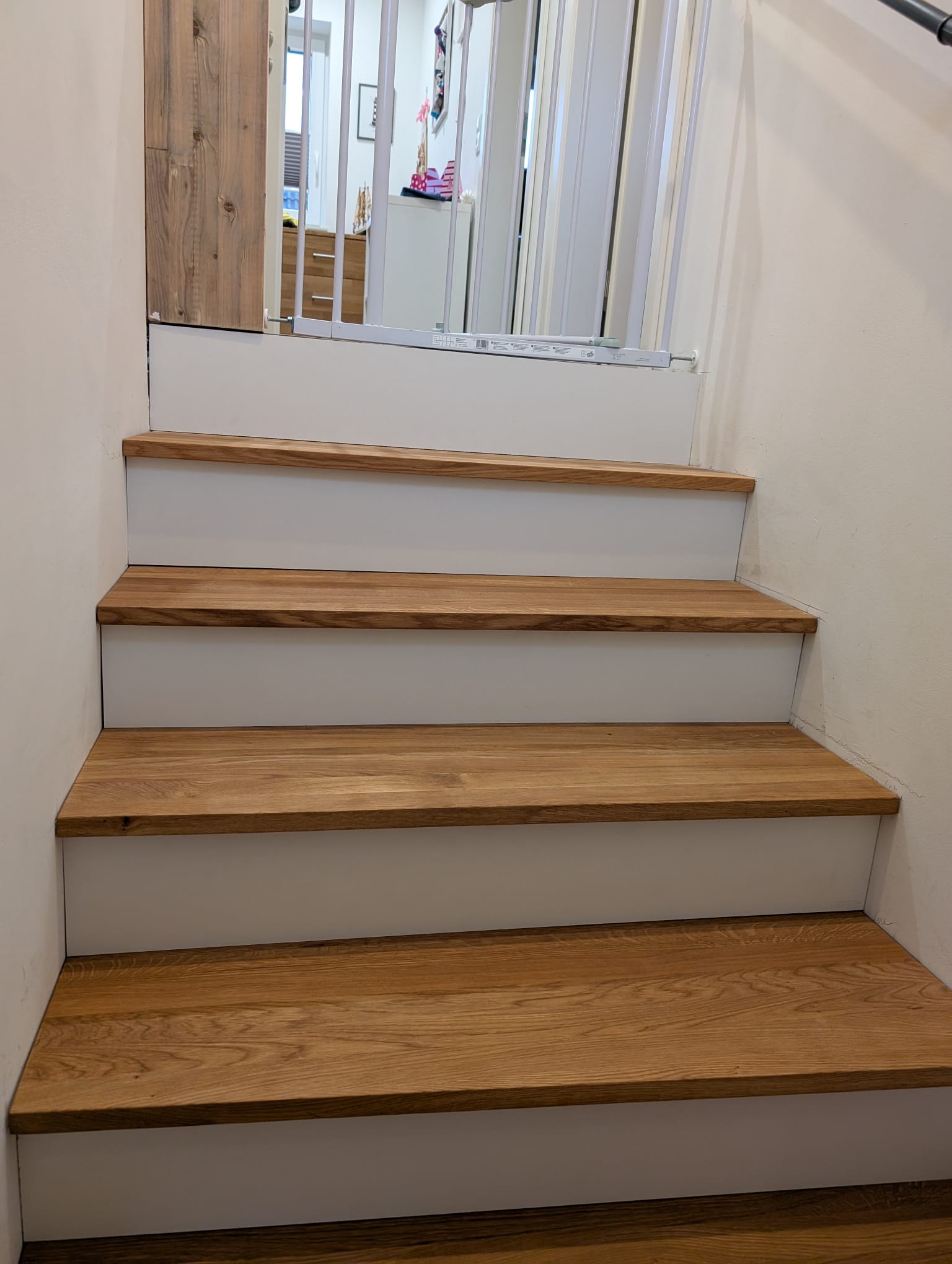 Sanierte Betontreppe mit Eichenstufe